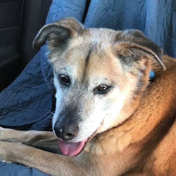 Meet your Posher, Rebekah - Picture 1 of 1